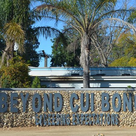 Beyond Cui Bono Hotell Sunland Eksteriør bilde